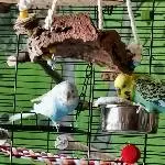 Chanti und Detlef