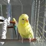 Sonne Tanken