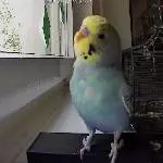 Neugierig 