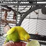 Erna auf dem Finger
