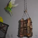 Erna fliegt