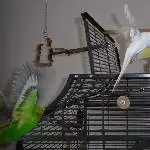 Drei Flieger
