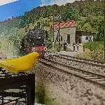 Emil wartet auf den Zug