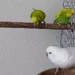 Was ist da?