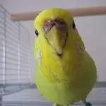 Profilbild von Julchen