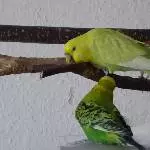 Julchen und Fritzchen bei der Arbeit