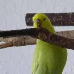 Die neue Stange schmeckt