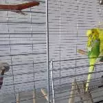 Erna beim Putzen