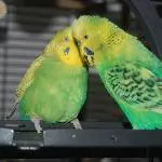 Alte Liebe rostet nicht