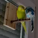 Sunna und Sam