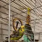 Oskar und Hanni
