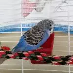 Das ist Tiffy