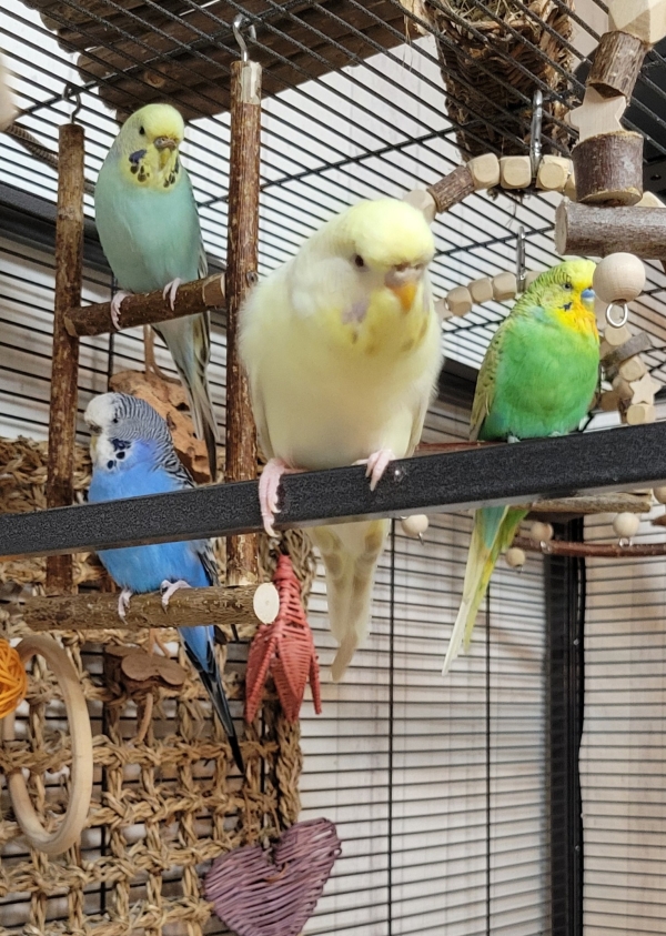 Keine Fotos Bitte!