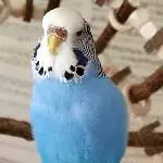Die süße Violet :)