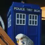 The Doctor And His Tardis