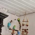 unsere Vier