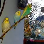 Die Crew