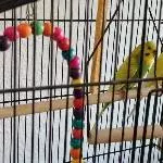 Bella und Peter