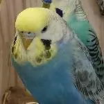 Unsere Ella