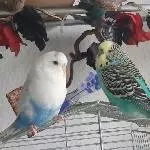 Die Felo macht schon wieder Fotos von uns 