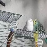 Knutsch Zeit :) 