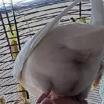 Wölbung Bild 1