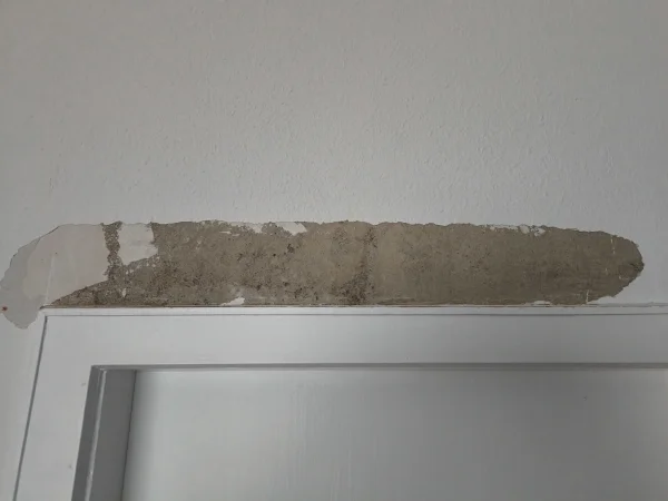 Wellensittich-Bild:  da waren meine vier kleinen sehr fleißig gewesen.. ;-)