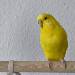 Neues Bild von Chloe 