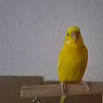 Chloe auf Achse 