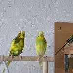 3 Freunde fürs Leben