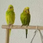 Meine drei Jungs 