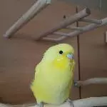 Ich bin Chloe 
