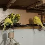 Gute Nacht an alle