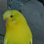 Meine Sonne!