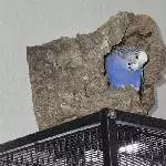 Nachos Höhle