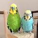 Willi und der kleine Nils
