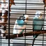 Bounty und Blue