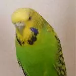 Coco - ich bin auch neu hier im Forum