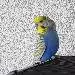 Thesseus