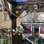 Bibo genießt die Sonne
