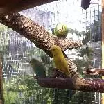 Mama Freya mit Sully und Yoshi