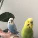 Bros for life