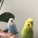Bros for life
