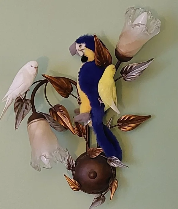 Wellensittich-Bild: unsere Felo hat Coco im Oktober aus Wien mitgebracht. Er war als Lampenwächter engagiert worden, damit wir nicht mehr auf die Lampe fliegen. Womit unsere Felo nicht gerechnet hat.Coco ist unser bester Freund geworden. Wir lieben ihn heiß und innig und unser Felo ist mal wieder sprachlos. :-)
