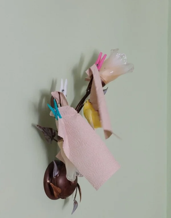 Wellensittich-Bild: Unsere Felo wollte uns erziehen!Haha,Haha,Haha. Da hat Sie doch tatsächlich gedacht. Sie hängt die Lampe mit Papiertücher zu, weil wir fürchten uns doch vor alles Neuem, dann fliegen wir die Lampe nicht mehr an. Ach Felo Du tust mir sooooo leid. Du weißt doch wie Galli ist. Sie kann man nicht aufhalten.:-)