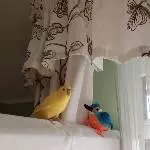 Paco sagt Nein!