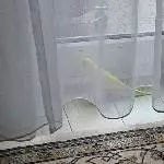 So hier sieht mich meine Felo nicht..