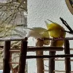 Wo ist es nur?