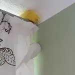 Die magische Ecke