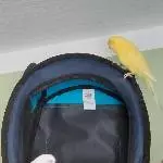 Transporttasche
